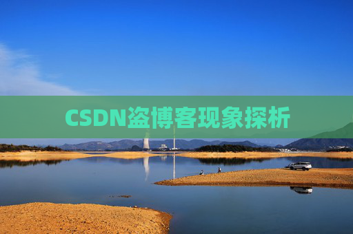 CSDN盗博客现象探析
